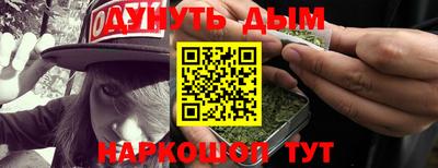гидра Дмитров