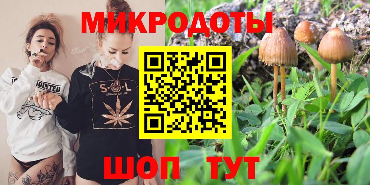 А ПВП Ирбит