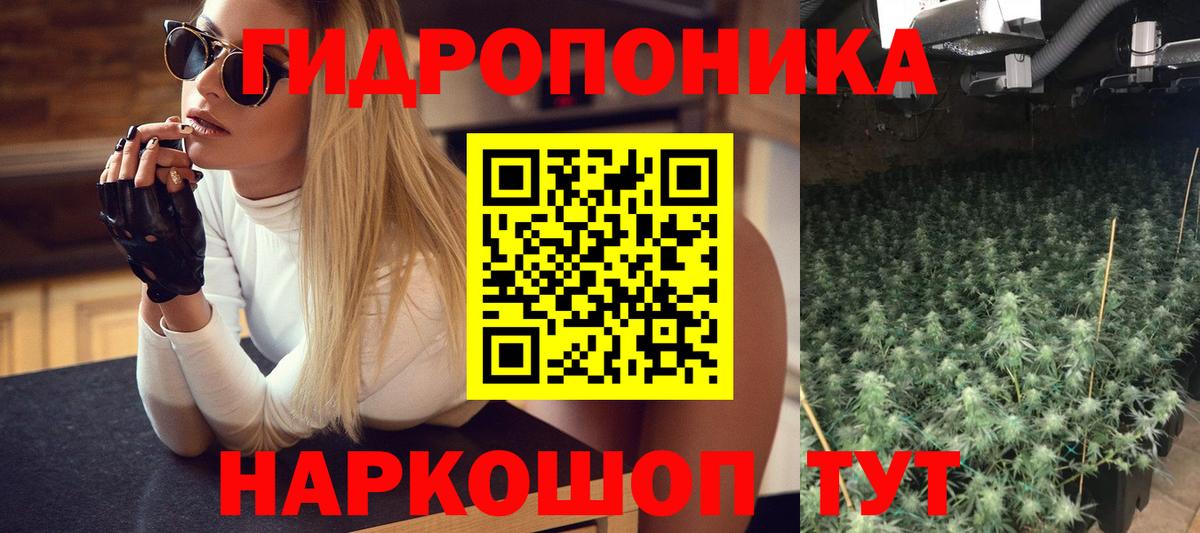 Канабис сатива  Марихуана семена  Вход с VPN  МАРИХУАНА сатива  Ирбит 